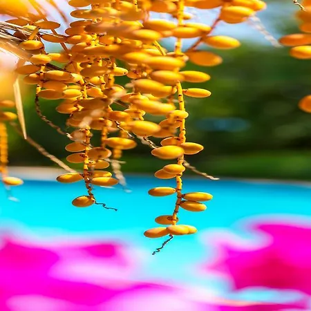 Marmaris Holiday Villas