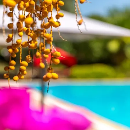 Вилла Marmaris Holiday Villas *