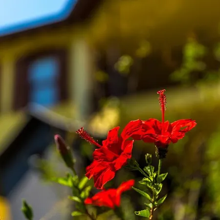 Villa Marmaris Holiday Villas