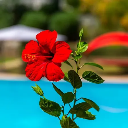 Villa Marmaris Holiday Villas Marmaris