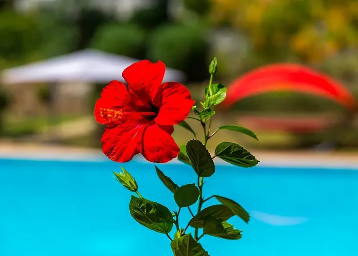 Vila Marmaris Holiday Villas Marmaris