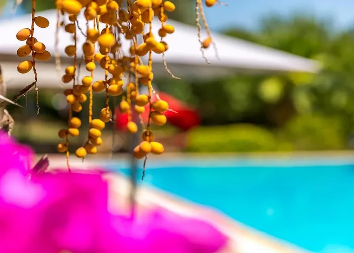 ヴィラ Marmaris Holiday Villas *